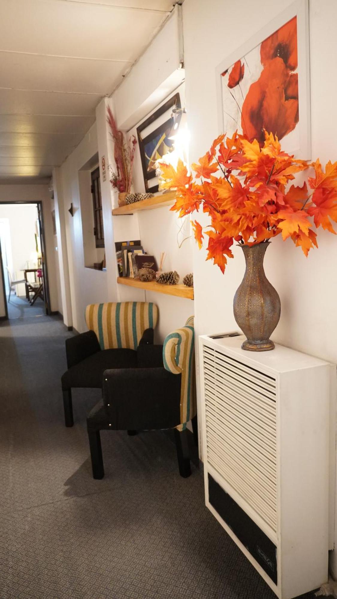 Hostel & Spa Mediterranea 科尔多瓦 外观 照片