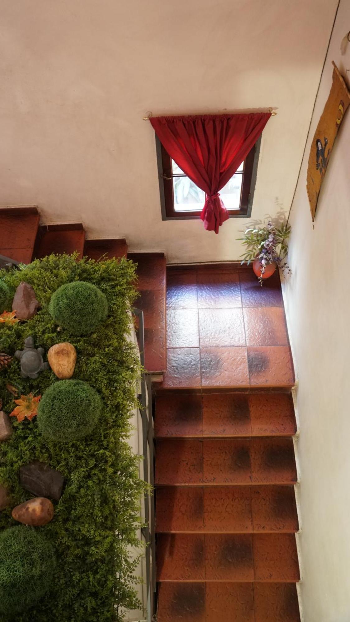 Hostel & Spa Mediterranea 科尔多瓦 外观 照片